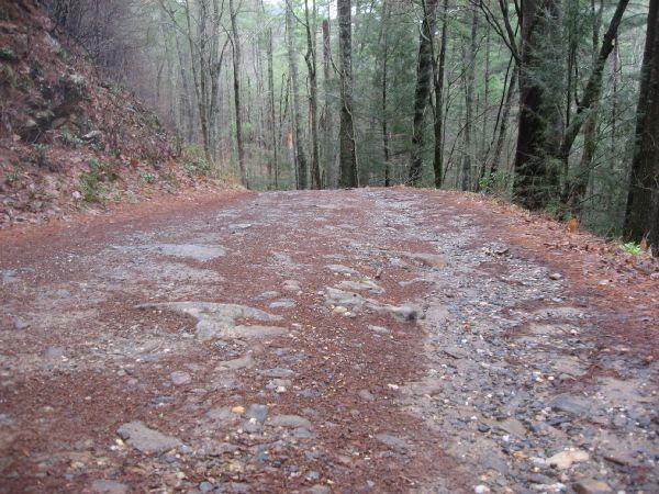 A gravel road winding through a forest, surrounded by tall trees and a natural earthy landscape. The road surface is uneven, with visible rocks and patches of dirt. The atmosphere appears tranquil and secluded. Cooper Creek mountain bike trail.
