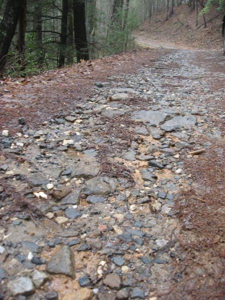 A close-up view of a rocky and uneven dirt path covered with wet leaves and small stones, surrounded by trees in a forested area. The path appears muddy, indicating recent rainfall, and winds gently into the distance among the trees. Cooper Creek mountain bike trail.