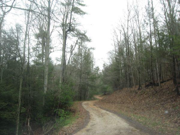 A winding dirt road surrounded by bare trees and greenery, leading into a wooded area under a cloudy sky. Cooper Creek mountain bike trail.