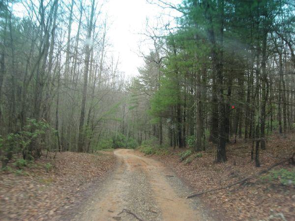 A winding dirt path surrounded by bare trees and greenery, leading into a forest. The scene is dimly lit, suggesting an overcast day, with fallen leaves scattered along the trail. There's a small red marker visible on a tree to the right. Cooper Creek mountain bike trail.