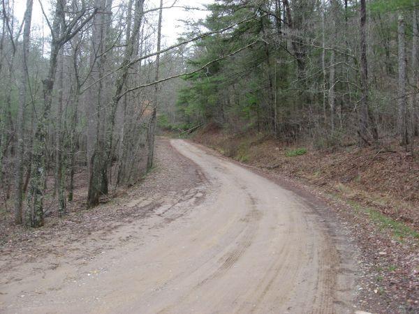 A winding dirt road surrounded by bare trees and greenery, leading through a forested area. The road is partially covered in leaves and dirt, with a gentle curve to the left. Cooper Creek mountain bike trail.