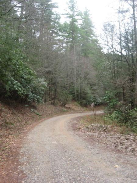 A winding gravel road through a wooded area, surrounded by trees with sparse leaves, indicating a cool season. The path curves to the right, with some greenery along the edges and a signpost partially visible. The atmosphere appears calm and serene, typical of a forest landscape. Cooper Creek mountain bike trail.