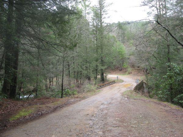 A winding dirt road surrounded by tall trees, leading into a shaded forest. The path splits into two directions, with a small wooden bridge visible in the background. The atmosphere is tranquil, capturing a serene natural setting. Cooper Creek mountain bike trail.