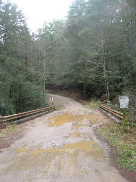 A muddy dirt road curving through a dense forest, bordered by trees on either side. A sign is visible on the right, indicating directions, while puddles of water collect on the road surface. The scene is overcast, suggesting a cloudy day. Cooper Creek mountain bike trail.