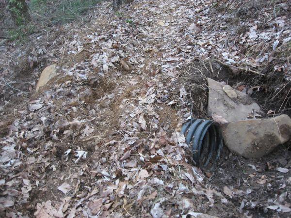 A forested trail covered with fallen leaves, featuring a partially buried pipe and several scattered rocks. The ground appears disturbed, indicating recent activity or erosion. Bull Mountain / 223 mountain bike trail.