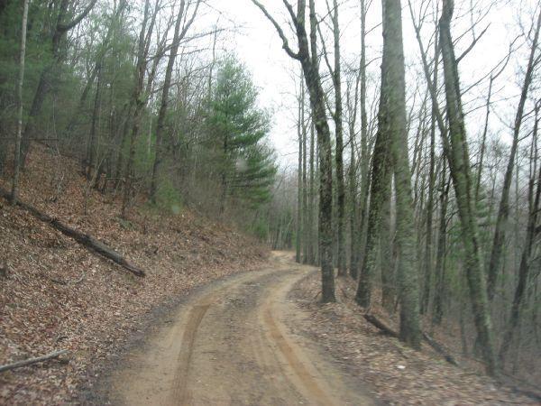 A winding dirt road under a cloudy sky, surrounded by bare trees and patches of green foliage. The ground is covered in fallen leaves, giving the scene a natural, rustic feel. Duncan Ridge mountain bike trail.