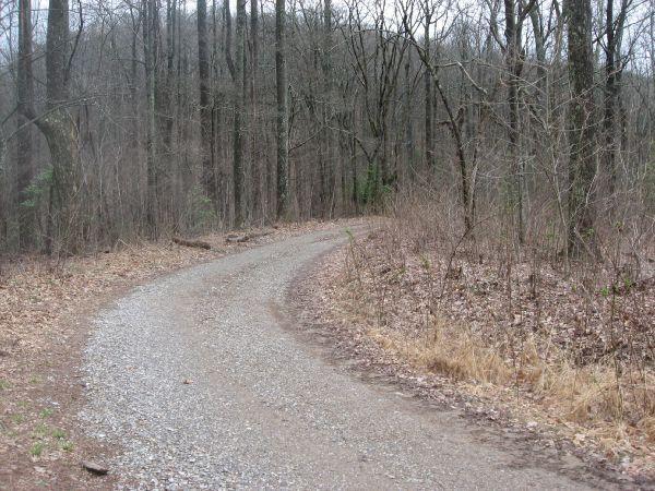 A winding gravel path through a wooded area, surrounded by bare trees and sparse vegetation. The scene conveys a tranquil, natural environment, with a soft, overcast sky above. Duncan Ridge mountain bike trail.