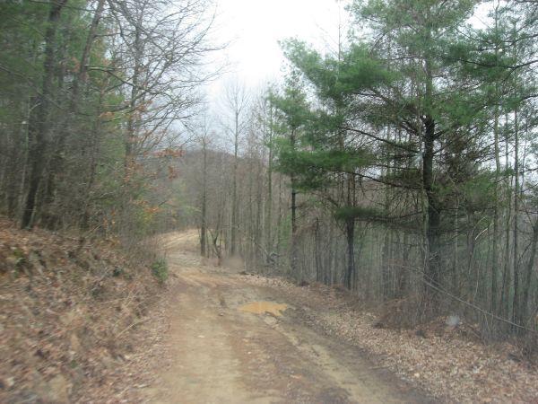 A dirt road winding through a forest during a cloudy day, lined with bare trees and patches of greenery. The ground is slightly muddy, with leaves scattered along the sides, creating a natural, rustic scene. Duncan Ridge mountain bike trail.