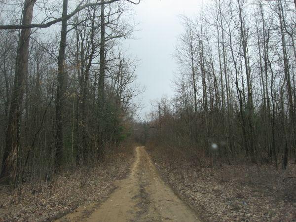 A narrow dirt path winding through a sparse forest with leafless trees under a cloudy sky. The ground is uneven and surrounded by dry foliage, suggesting an early spring or late fall setting. Duncan Ridge mountain bike trail.