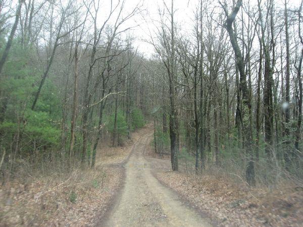 A dirt path weaving through a wooded area, surrounded by bare trees and patches of green foliage on either side. The scene is overcast, suggesting a cloudy day. The trail gently ascends into the distance, leading deeper into the forest. Fallen leaves cover the ground, adding to the natural setting. Duncan Ridge mountain bike trail.
