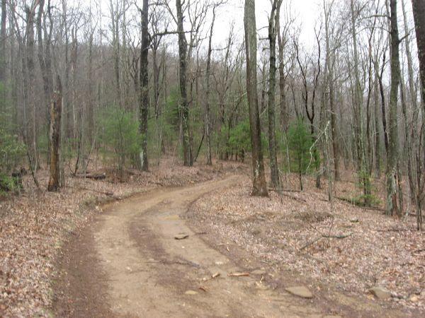 A winding dirt path through a wooded area, surrounded by bare trees and sparse greenery. The ground is covered with fallen leaves and small stones, indicating a natural, rustic trail in a serene forest setting. Duncan Ridge mountain bike trail.
