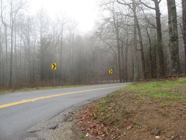 A winding road through a foggy forest, with yellow curve warning signs visible. The scene features bare trees and a grassy edge, set in a misty atmosphere. Duncan Ridge mountain bike trail.