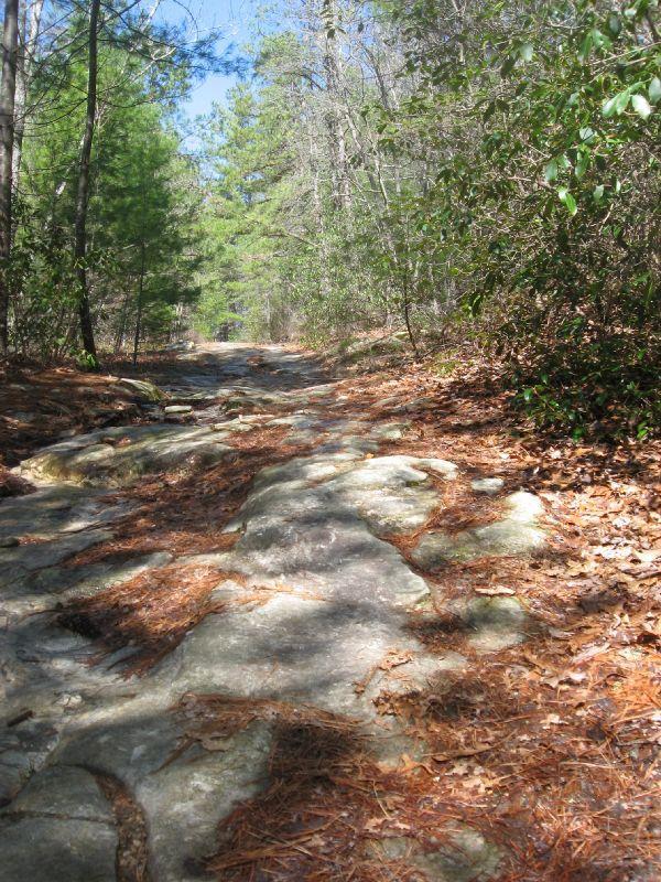 A rocky hiking trail surrounded by trees, with patches of sunlight filtering through the foliage and leaves scattered along the ground. The path appears rugged and natural, leading into the distance. DuPont State Forest mountain bike trail.