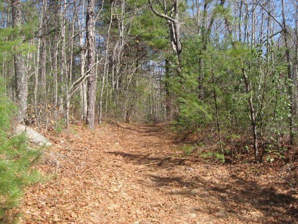 A dirt pathway winding through a wooded area, surrounded by trees with green foliage and fallen leaves covering the ground. The sky is clear and blue, indicating a sunny day. Micajah Trail (#54) mountain bike trail.