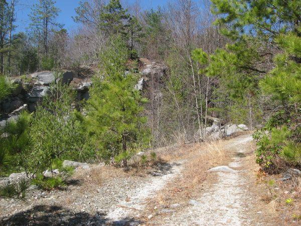 A narrow, winding dirt path surrounded by greenery, leading through a forested area. The scene features both pine trees and dry patches, with rocky outcrops visible in the background under a clear blue sky. Rock Quarry Road mountain bike trail.