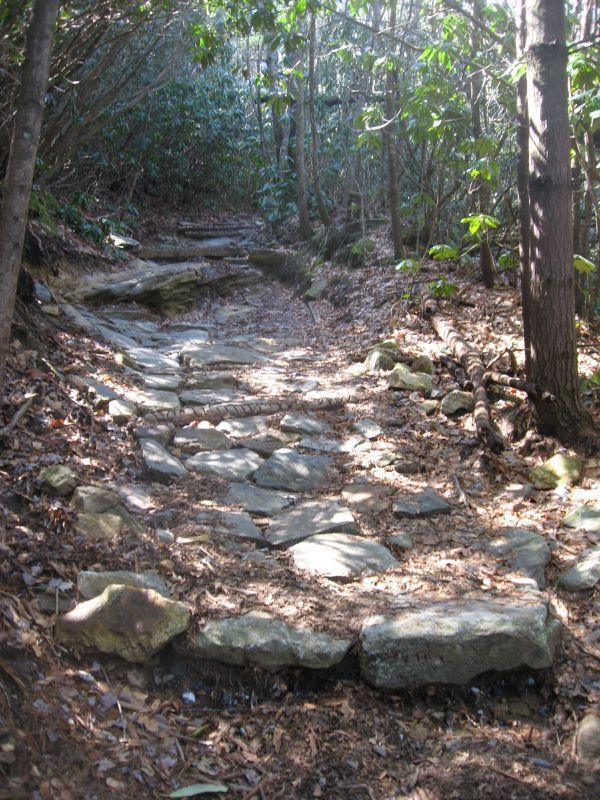 A narrow, rocky path winding through a forest, surrounded by dense greenery and trees. Sunlight filters through the foliage, casting soft shadows on the ground covered in leaves and stones. Burnt Mountain Trail #11 mountain bike trail.