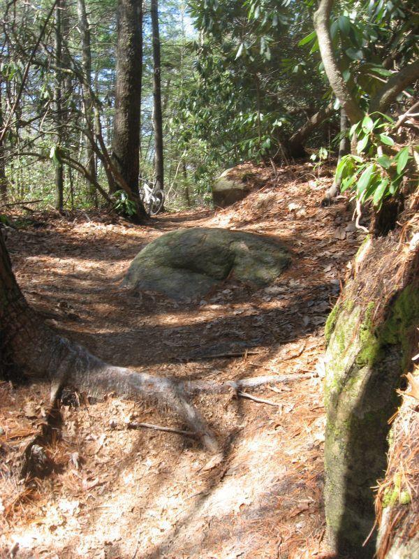 A narrow dirt path winding through a forest, surrounded by tall trees and large rocks. The ground is covered with fallen leaves and pine needles, suggesting a tranquil environment in nature. Burnt Mountain Trail #11 mountain bike trail.