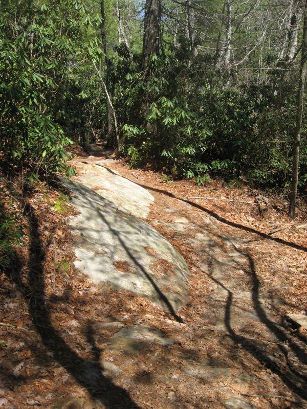A natural trail winding through a wooded area, featuring a rocky surface and scattered leaves. Lush greenery, including shrubs and trees, frames the path, creating a serene outdoor atmosphere. Sunlight filters through the branches, casting shadows on the trail. Burnt Mountain Trail #11 mountain bike trail.