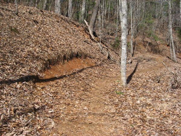 A dirt path winding through a forest, surrounded by trees and covered with fallen leaves. The path is flanked by an earthen slope on one side, with a few small plants visible. Sunlight filters through the trees, illuminating the scene. Burnt Mountain Trail #11 mountain bike trail.