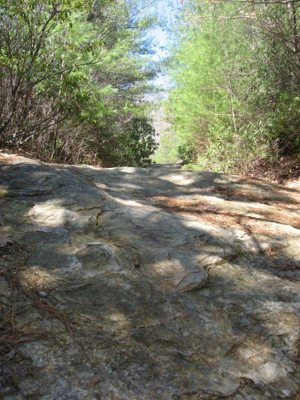 A rocky trail leading into a wooded area, with sunlight filtering through the trees. The path is lined with greenery on both sides, and the ground is covered in a mix of rocks and pine needles. The scene conveys a sense of tranquility and nature. Burnt Mountain Trail #11 mountain bike trail.