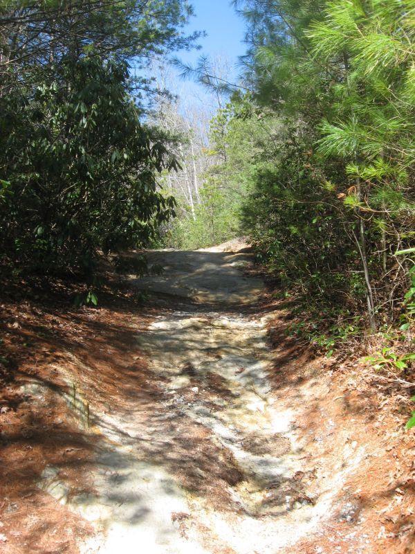 A narrow dirt path winding through a forest, flanked by lush greenery and patches of sunlight filtering through the trees. The ground is rocky and uneven, indicating a natural terrain. Burnt Mountain Trail #11 mountain bike trail.