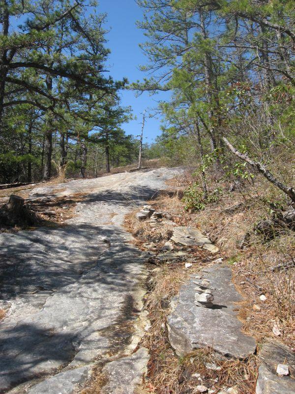 A rocky trail winding through a forested area, lined with pine trees under a clear blue sky. The path is mostly bare rock, with patches of dry grass and small stone cairns visible along the way. Cedar Rock Trail #16 mountain bike trail.