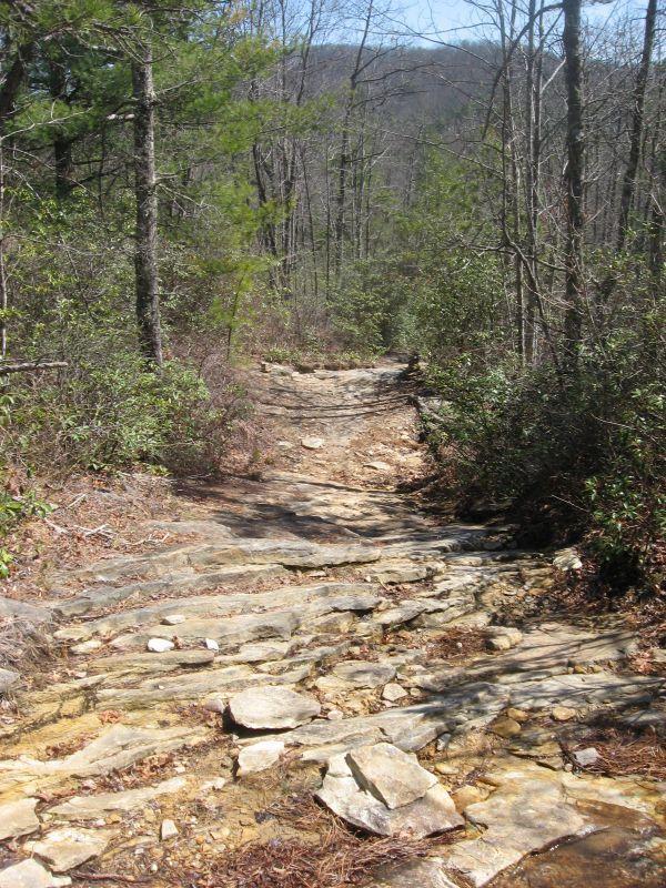 Rocky hiking trail winding through a forest, surrounded by trees and lush greenery. The path is uneven and includes large stones, leading into the distance where hills are visible. Cedar Rock Trail #16 mountain bike trail.