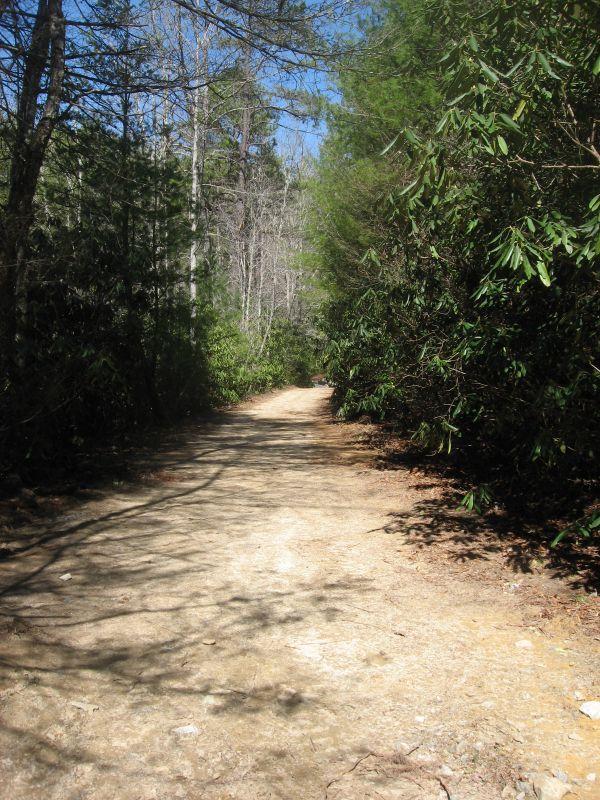 A dirt path surrounded by green foliage and trees, leading straight ahead under a clear blue sky. The ground is uneven and natural, indicating a walking trail through a wooded area. Lake Imaging Road #45 mountain bike trail.