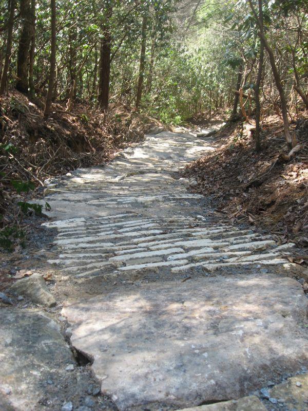 A narrow stone pathway winding through a forest, surrounded by dense greenery and fallen leaves. The path features irregularly shaped stones arranged in a natural pattern, leading into the distance. Jim Branch Trail #41 mountain bike trail.