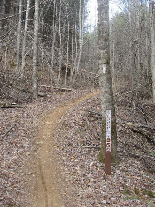 A dirt trail winding through a sparse forest, surrounded by leafless trees and scattered debris. A trail marker on the right indicates specific guidelines and symbols for trail use, suggesting activities such as hiking and caution regarding pets. The ground is covered with fallen leaves, creating a natural path leading into the woods. Pinhoti Trail: P2 mountain bike trail.