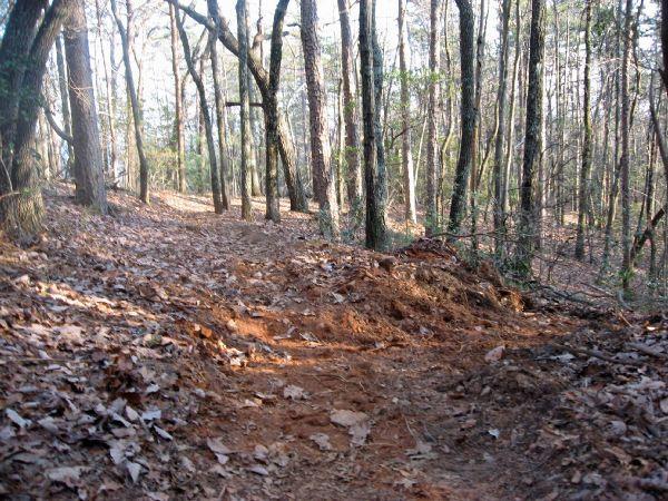 A winding dirt path through a forest, surrounded by tall trees and a layer of fallen leaves on the ground. The scene captures a peaceful and natural environment, with dappled sunlight filtering through the branches. Bull Mountain / 223 mountain bike trail.