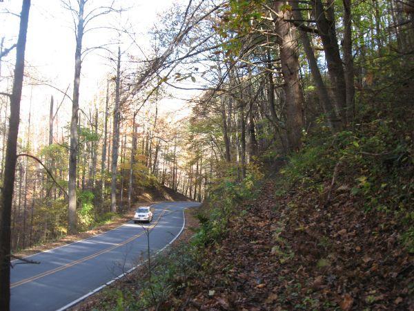 A winding road surrounded by tall trees, with autumn leaves covering the ground. A car is driving along the road, which curves to the left as it passes through a forested area. Sunlight filters through the branches, creating a serene and picturesque rural scene. Fontana Village mountain bike trail.