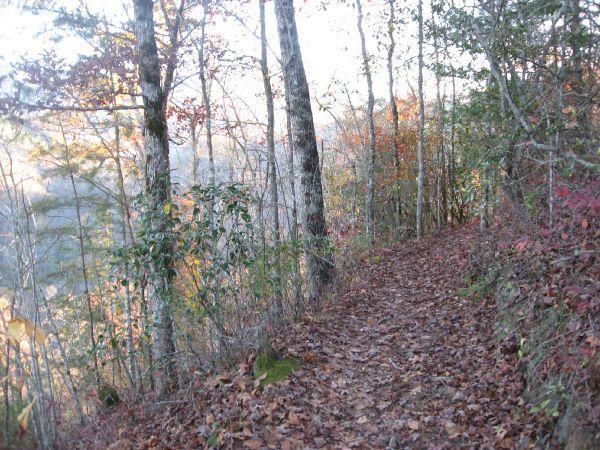 A serene hiking trail lined with trees, covered in fallen leaves, bordered by foliage in autumn colors. The path gently winds along a hillside, with soft sunlight filtering through the trees, creating a peaceful nature scene. Flint Ridge mountain bike trail.