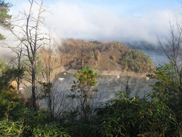 A scenic view of a mist-covered landscape featuring a forested hill surrounded by fog. The foreground shows greenery, including bamboo plants, with some bare trees. In the background, the hill is partially obscured by clouds, adding a mystical quality to the serene natural setting. Tsali Recreation Area mountain bike trail.