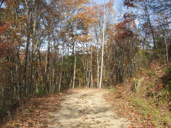 A winding dirt path surrounded by trees with autumn foliage, featuring a mix of orange, yellow, and brown leaves. The scene is illuminated by natural light under a clear blue sky, suggesting a serene outdoor environment in fall. Fontana Village mountain bike trail.