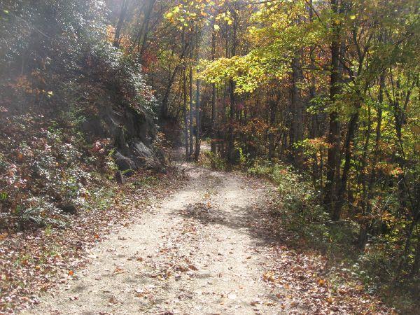 A sunlit dirt trail winding through a forest with colorful autumn foliage, bordered by trees and rocky outcrops, with fallen leaves scattered along the path. Fontana Village mountain bike trail.