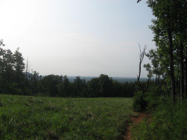 A scenic view of a grassy field bordered by trees, leading to a distant horizon under a light sky. The foreground features a dirt path and various plant life, while the background reveals layers of greenery extending towards a hazy skyline. Jones Creek Ridge Trail mountain bike trail.