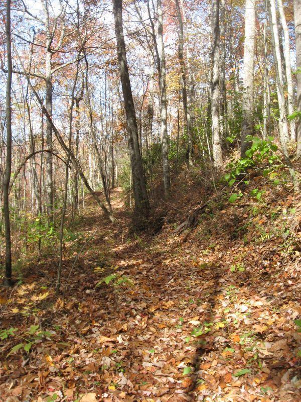 A narrow, winding path through a forested area during autumn, lined with tall trees displaying colorful leaves. The ground is covered with fallen leaves, and the bright blue sky peeks through the branches above. Fontana Village mountain bike trail.