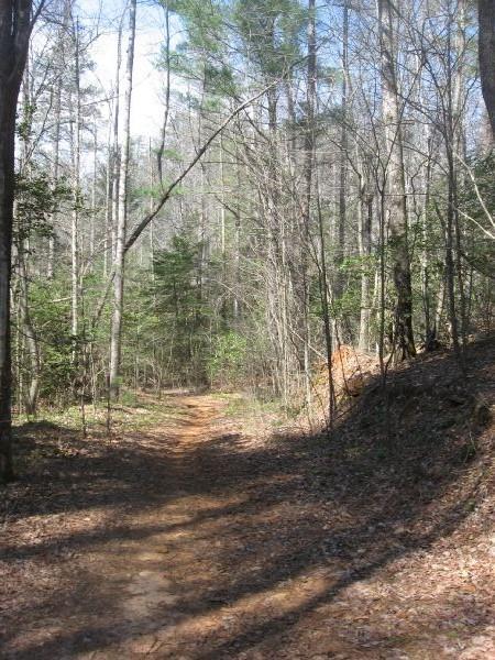A winding dirt trail through a forest, surrounded by tall trees and patches of sunlight. The path is covered with leaves and hints of greenery along the sides, leading deeper into the woods. The sky is partially visible through the branches, indicating a clear day. Jake Mountain Trails mountain bike trail.