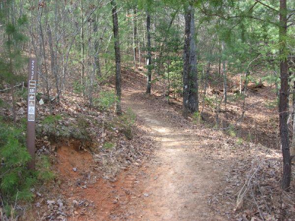 A dirt trail winding through a forested area, surrounded by trees and foliage. A trail marker stands to the left, showing the trail number and symbols for hiking and biking. The path is clear and slightly curving, with patches of orange soil visible on the edges. Jake to Bull Mountain Connecter mountain bike trail.
