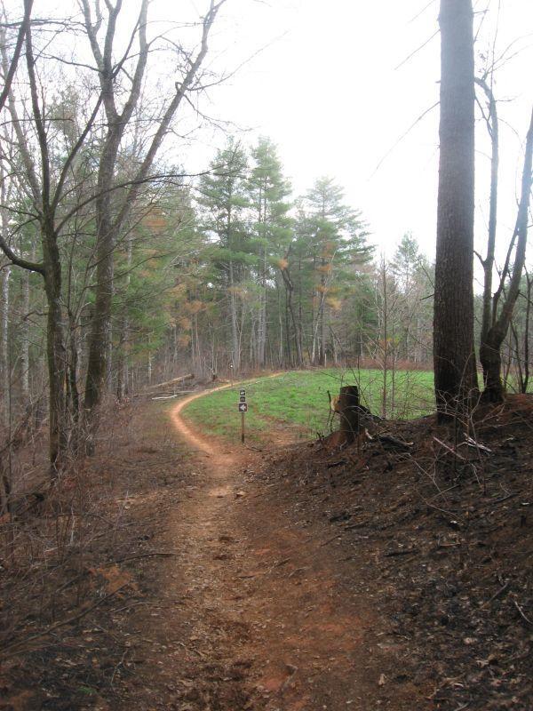 A winding dirt path leads through a forest with sparse trees on either side. The ground is a mix of dirt and grass, with some areas showing signs of recent regrowth. A trail marker stands near the path, indicating directions, while the sky above is overcast. The scene conveys a tranquil yet rugged outdoor environment. Jones Creek Ridge Trail mountain bike trail.