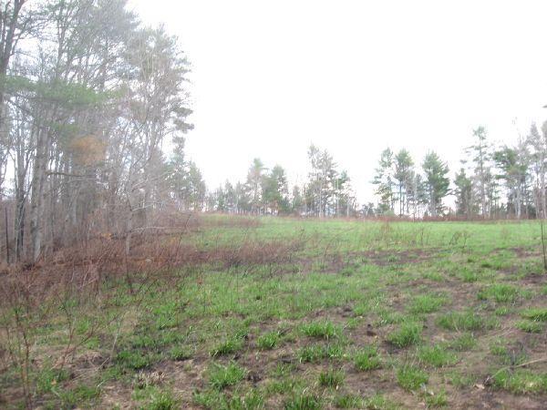 A grassy field with patches of bare soil, bordered by trees on the left and a cloudy sky in the background. The scene depicts early spring or late winter, with green grass emerging and some brown brush visible. Jones Creek Ridge Trail mountain bike trail.