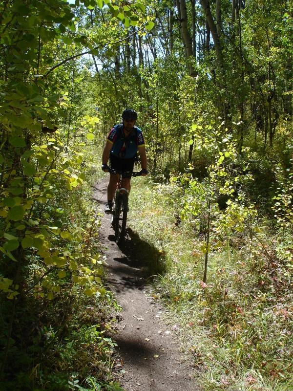 A mountain biker riding on a narrow dirt trail surrounded by lush green foliage and tall trees under a clear blue sky. West Jefferson Trail mountain bike trail.