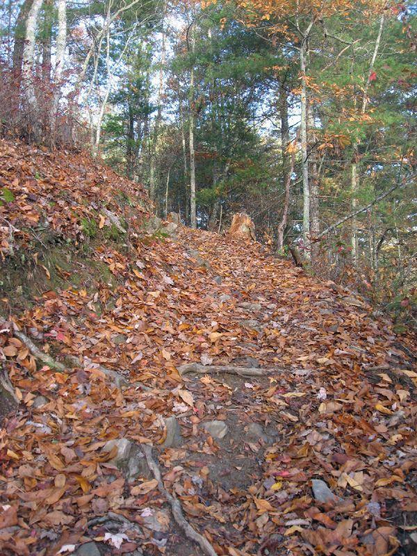 "An outdoor hiking path covered with colorful autumn leaves, winding through a forest with trees on either side. The trail includes visible rocks and roots, leading upward towards a clear sky." Tsali Thompson Loop mountain bike trail.