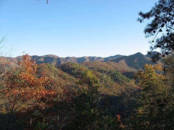 A panoramic view of rolling mountains covered in autumn foliage, showcasing a mix of green, orange, and yellow leaves under a clear blue sky. The scene is framed by evergreen trees in the foreground, highlighting the vibrant colors of the season. Flint Ridge mountain bike trail.