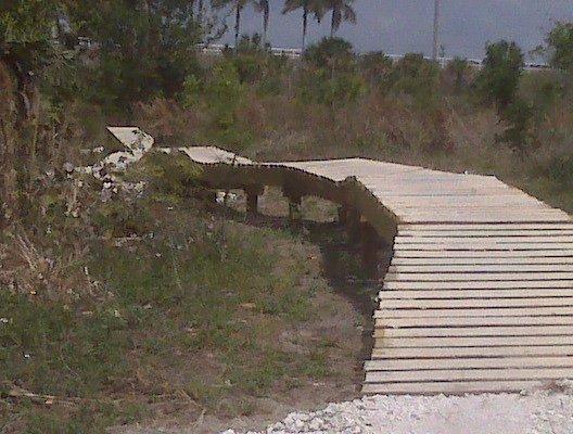 A wooden walkway or boardwalk damaged and uneven, surrounded by grass and shrubs, with a clear sky in the background. Quiet Waters Park mountain bike trail.