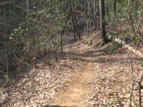 A narrow dirt trail winding through a wooded area, surrounded by trees and scattered leaves on the ground. The path is partially shaded by the foliage, leading into the distance. No Tell Trail mountain bike trail.
