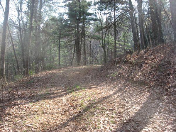 A winding dirt path through a wooded area, with sunlight filtering through the trees. The ground is covered in fallen leaves, and shadows from the surrounding trees enhance the serene atmosphere. No Tell Trail mountain bike trail.