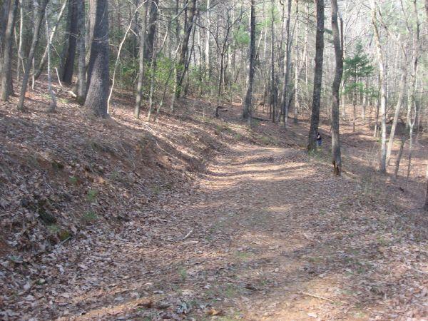 A winding dirt path through a forest, surrounded by tall trees and scattered brown leaves on the ground. The atmosphere is serene and natural, with hints of green foliage visible in the background. No Tell Trail mountain bike trail.