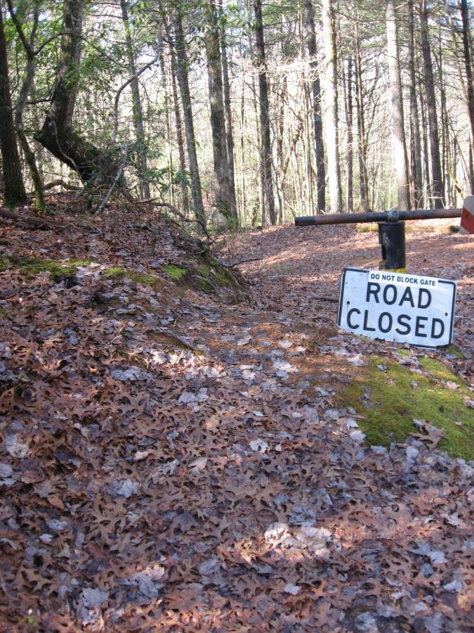 A forest scene featuring a "Road Closed" sign positioned on the ground, surrounded by fallen leaves and trees. Soft sunlight filters through the branches, highlighting the natural landscape. No Tell Trail mountain bike trail.